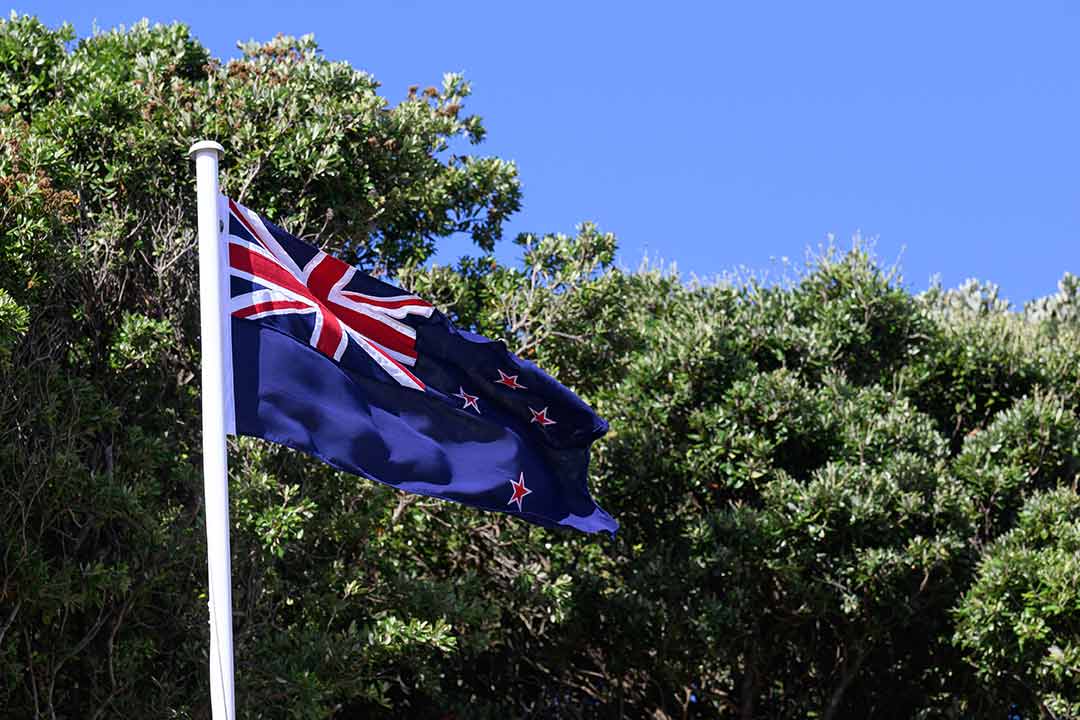 New Zealand Education