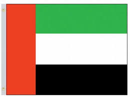 UAE Flag
